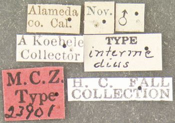 Media type: image;   Entomology 23901 Aspect: labels